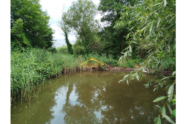 grodziski, Grodzisk Mazowiecki, Adamowizna, Dom na działce NATURA