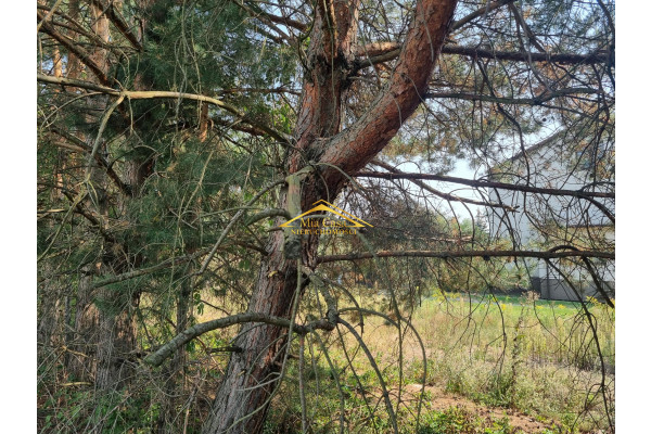 grodziski, Grodzisk Mazowiecki, Działka w doskonałej lokalizacji